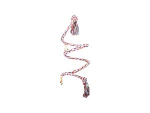 Birds Toys