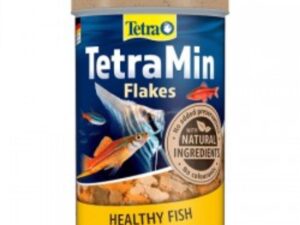 Fish Food