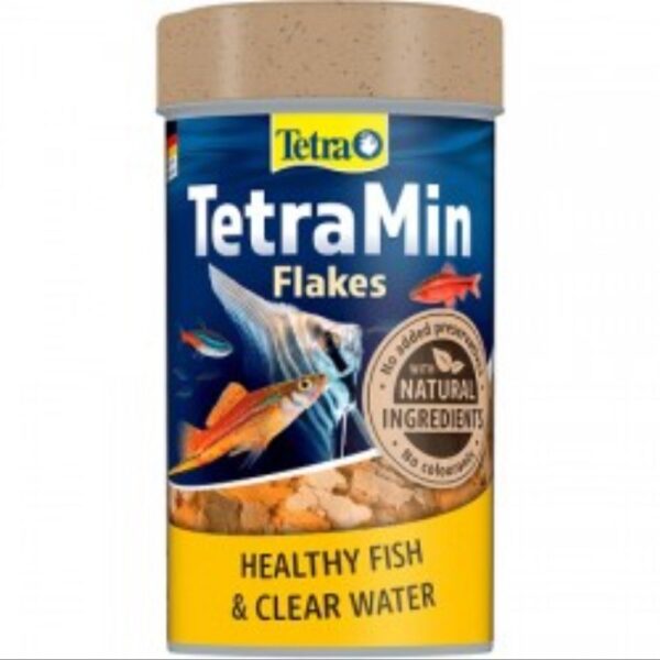 Fish Food