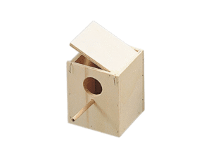 Birds Accessories