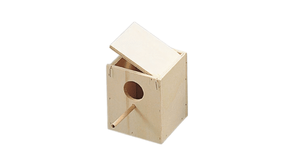 Birds Accessories