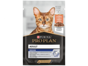 Cat Wet Food